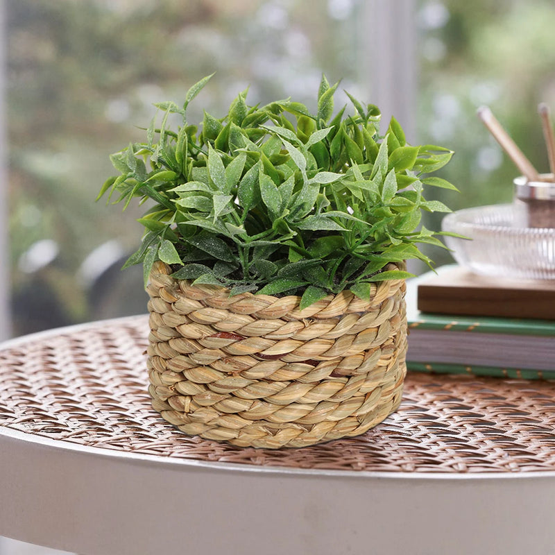 Artificial Eucalyptus Plant in Woven Seagrass Pot