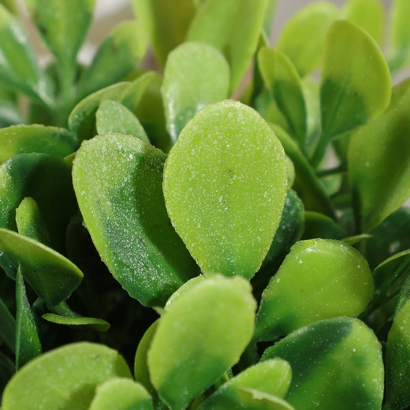 Artificial Eucalyptus Plant in Woven Seagrass Pot