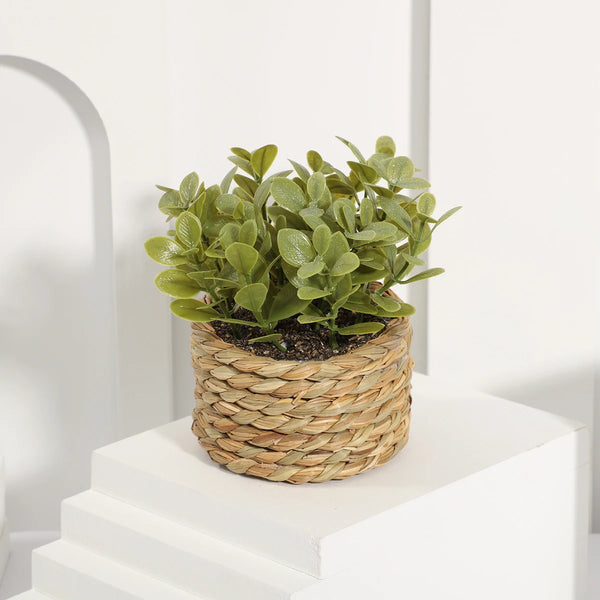 Artificial Eucalyptus Plant in Woven Seagrass Pot