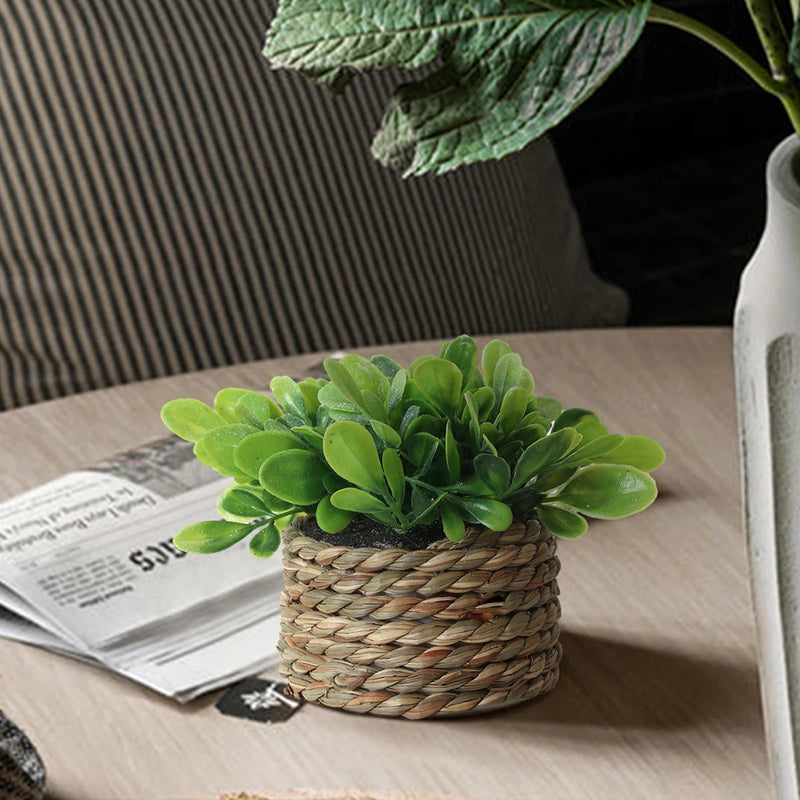 Artificial Eucalyptus Plant in Woven Seagrass Pot