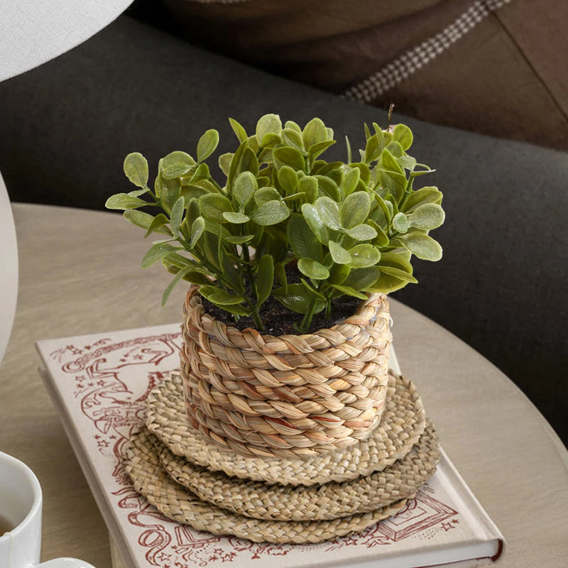 Artificial Eucalyptus Plant in Woven Seagrass Pot